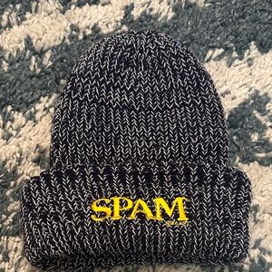 Navy and White Knit Beanie